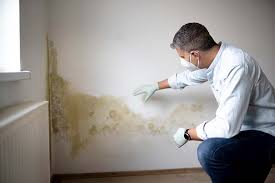 Why You Should Choose Our Mold Remediation Services in Palmetto Bay, FL